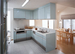 �V�X�e���L�b�`��