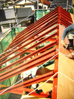 �����A��n�\��