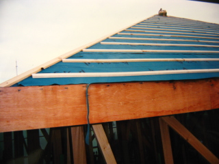 ���������n�h����